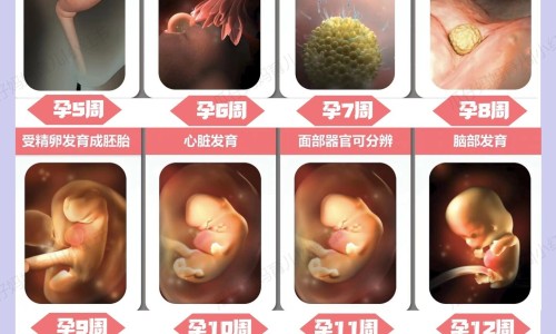 四季外感平安颗粒网 - 外感平安颗粒价格,外感平安颗粒的功效与作用